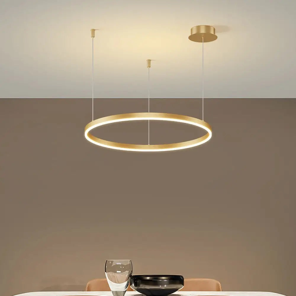 Lustre Suspension Cercle Chic en Fer – Éclairage Moderne pour Salon et Salle à Manger 4